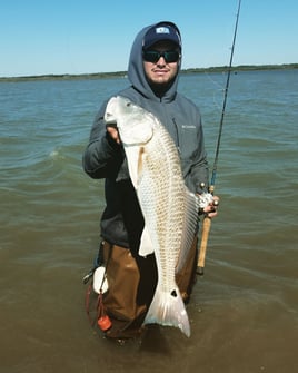 Aransas Pass Redfish Wade