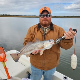 Charleston Low Country Adventure