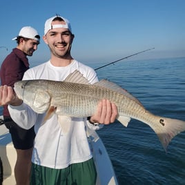 Charleston Low Country Adventure