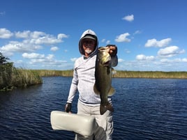 South Florida Freshwater