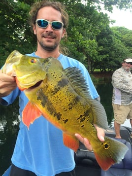 Peacock Bass Fishing in Delray Beach, Florida