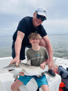 Tampa Bay Shark Fishing