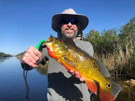 Lake Ida and Osborne Fishing Trips