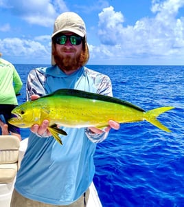 Offshore Bottomfishing and Trolling