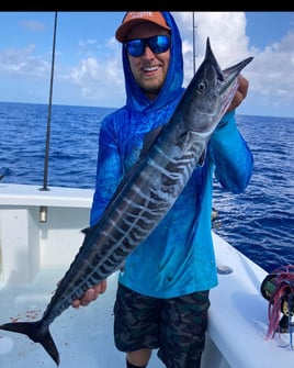 Offshore Bottomfishing and Trolling