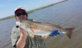 Redfish Fishing in Buras, Louisiana