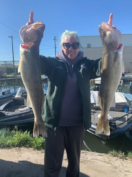 Detroit River Walleye