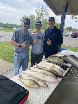 Detroit River Walleye