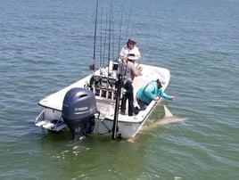 Scalloping Trip