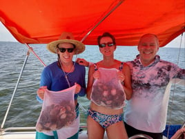 Regular and VIP Scalloping Trips