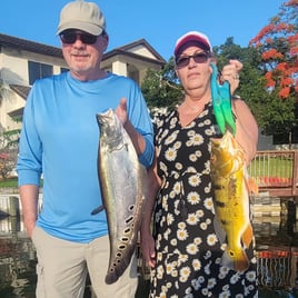 Unreal Peacock & Clown Knife Action