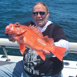 Rockfish Fishing in San Diego, California