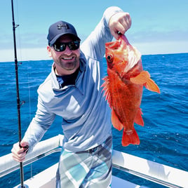 Rockfish Fishing in San Diego, California