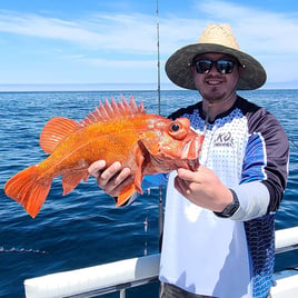 Rockfish Fishing in San Diego, California