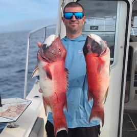 California Sheephead Fishing in San Diego, California