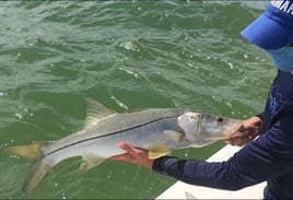 Pristine Florida Fishing