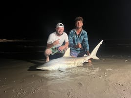 Coastal Bend Surf Fishing Adventure