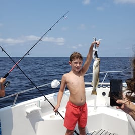 Inshore Saltwater Action