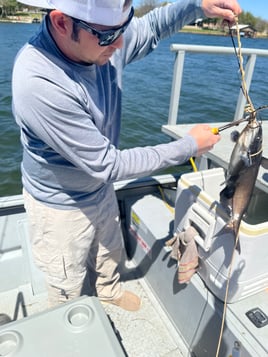 Central Texas Bowfishing