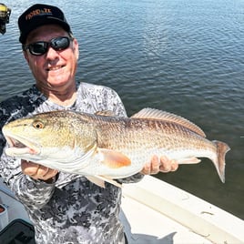 Redfish Fishing in Bokeelia, Florida