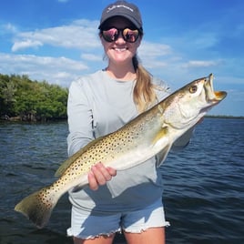 Snook Fishing in Bokeelia, Florida