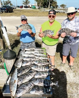 Redfish, Sheepshead Fishing in Bokeelia, Florida