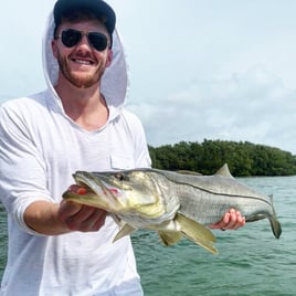 Snook Fishing in Bokeelia, Florida