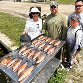 Mangrove Snapper Fishing in Bokeelia, Florida