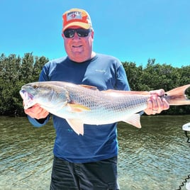 Redfish Fishing in Bokeelia, Florida