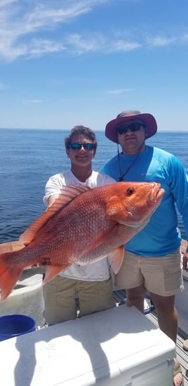 Red Snapper Fishing in Orange Beach, Alabama