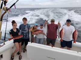 Red Snapper Fishing in Orange Beach, Alabama