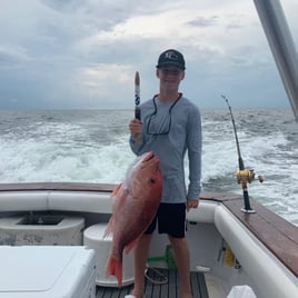 Red Snapper Fishing in Orange Beach, Alabama