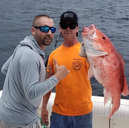 Red Snapper Fishing in Orange Beach, Alabama