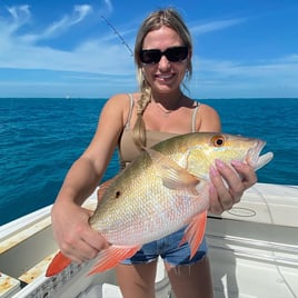 Red Snapper Fishing in Key West, Florida