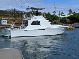 4 Hour Hawaiian Adventure Sportfishing