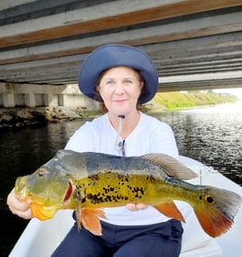 Peacock Bass Trophy Hunt