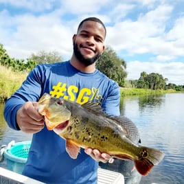 Peacock Bass Fishing in Delray Beach, Florida