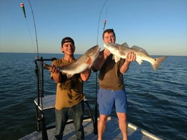 Redfish Fishing in South Padre Island, Texas