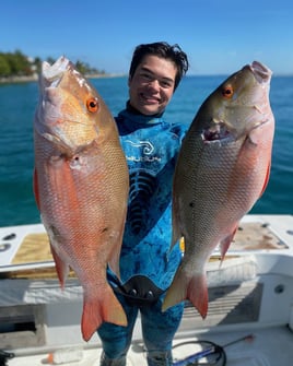 Spearfishing Miami Beach