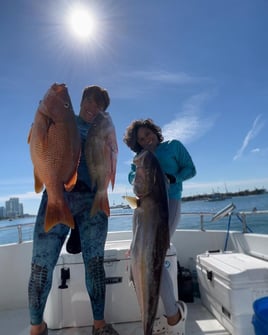 Spearfishing Miami Beach