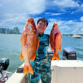 Spearfishing Miami Beach