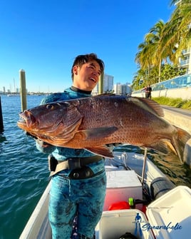 Spearfishing Miami Beach