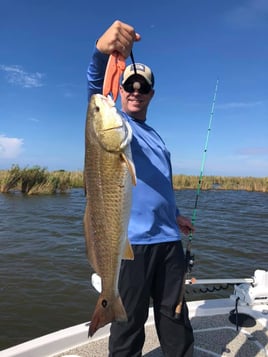 "Cajun Classic" Redfish Trip