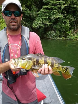 Peacock Bass Fishing in Vega Baja, Puerto Rico