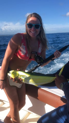 Mahi Mahi Fishing in Dorado, Puerto Rico