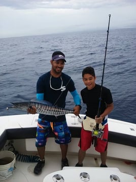 Wahoo Fishing in Dorado, Puerto Rico