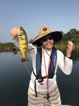 Peacock Bass Fishing in Vega Baja, Puerto Rico