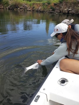 Tarpon Fishing in Dorado, Puerto Rico