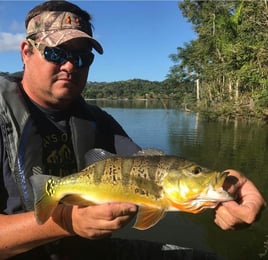 Peacock Bass Fishing in Vega Baja, Puerto Rico