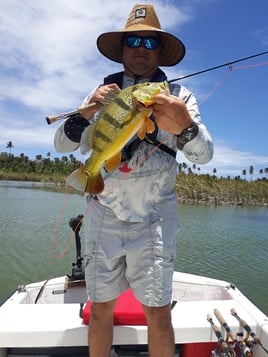 Peacock Bass Fishing in Vega Baja, Puerto Rico